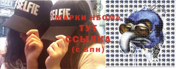 стафф Алзамай